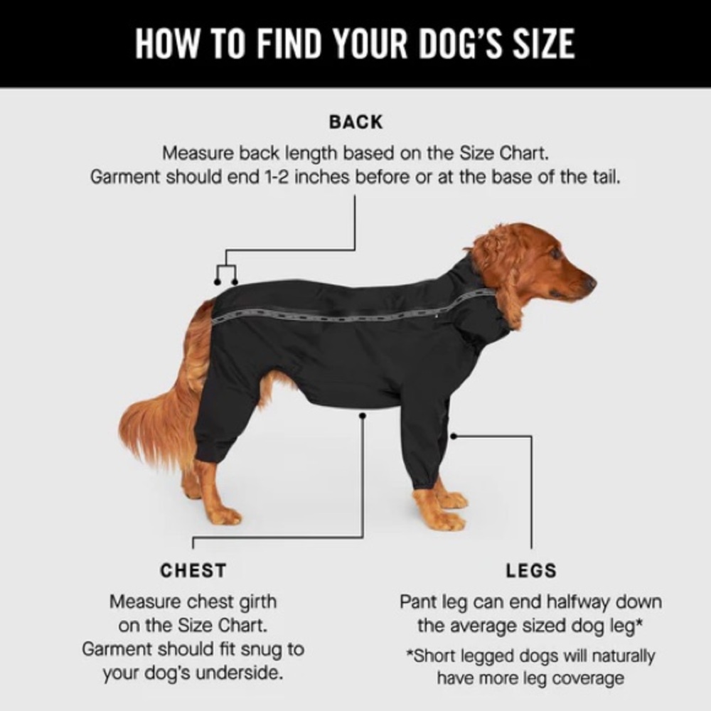 Black Dog Raincoat - Picture 4 of 8